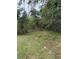 Image shows a path through a wooded area at 15518 State Road 19, Groveland, FL 34736