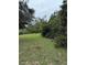 Image shows a grassy lot with some trees at 15518 State Road 19, Groveland, FL 34736