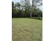 Open grassy area, partially shaded by trees at 15518 State Road 19, Groveland, FL 34736