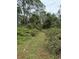 Image shows a grassy path through a wooded area with tall trees at 15518 State Road 19, Groveland, FL 34736