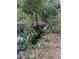 Small, vegetated waterway on the property at 15518 State Road 19, Groveland, FL 34736