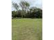 Large backyard with grassy area and mature trees at 15518 State Road 19, Groveland, FL 34736