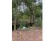 Image shows a wooded area with a small pond and lush vegetation at 15518 State Road 19, Groveland, FL 34736