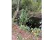 Image shows a small canal with vegetation along its banks at 15518 State Road 19, Groveland, FL 34736