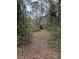 Image shows a path through a wooded area at 15518 State Road 19, Groveland, FL 34736