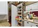 Well-organized kitchen pantry with pull-out drawers and ample shelving at 3721 Plantation Blvd, Leesburg, FL 34748