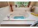 Oval bathtub with blue bath mat at 3646 Westover Cir, Leesburg, FL 34748