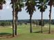 View of golf course from behind palm trees at 8913 Se 132Nd Loop, Summerfield, FL 34491