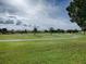 Landscaped golf course with palm trees and homes in the background at 8913 Se 132Nd Loop, Summerfield, FL 34491