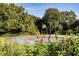 Outdoor basketball court surrounded by nature at 1720 Park Forest Blvd, Mount Dora, FL 32757