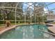Relaxing screened-in pool and patio area at 1720 Park Forest Blvd, Mount Dora, FL 32757