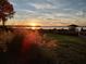 Sunset view over calm lake from grassy backyard at 6118 Dora Dr, Mount Dora, FL 32757