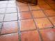 Terracotta tile floor with unique paw prints at 6118 Dora Dr, Mount Dora, FL 32757