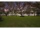 Peaceful backyard with lush grass, mature oak trees, and lake view at 9345 Silver Lake Dr, Leesburg, FL 34788