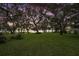 Peaceful backyard with lush grass, mature oak trees, and lake view at 9345 Silver Lake Dr, Leesburg, FL 34788
