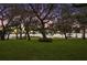Peaceful backyard with lush grass, mature oak trees, and lake view at 9345 Silver Lake Dr, Leesburg, FL 34788