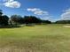 Golf course putting green with flag at 21630 King Henry Ave, Leesburg, FL 34748