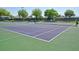 Well-maintained tennis courts for recreational activities at 3332 Flagship Ave, Tavares, FL 32778