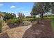 Landscaped backyard with a winding path and rock gardens at 4803 Sawgrass Lake Cir, Leesburg, FL 34748