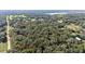 Aerial view of property showing wooded area and road at 9442 Cr 674, Bushnell, FL 33513