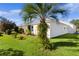 Landscaped backyard with lush lawn and palm tree at 1006 Sayle St, The Villages, FL 32162