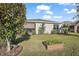 Backyard with raised garden bed, landscaping, and large tree at 29549 Caspian St, Leesburg, FL 34748