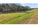 Expansive grassy backyard with natural landscape at 29549 Caspian St, Leesburg, FL 34748