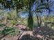 Landscaped backyard with lush tropical plants and a wooden fence at 33236 Grand Cypress Way, Leesburg, FL 34748