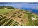 Aerial view of lakefront property with citrus grove at 38230 Yale Cir, Leesburg, FL 34788