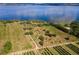 Aerial view of a large lakefront lot with citrus trees at 38230 Yale Cir, Leesburg, FL 34788