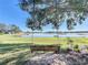 Tranquil lakeside swing under a large tree in the backyard at 25007 Bellevue, Leesburg, FL 34748