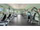 Community fitness center with various exercise equipment at 2154 Wallingford Loop, Mount Dora, FL 32757