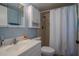 Well-lit bathroom with white vanity, shower with grab bars, and medicine cabinet at 110 N Tremain St # 110, Mount Dora, FL 32757