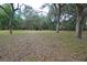 Spacious lot with mature trees at 3140 Se 23Rd Pl, Sumterville, FL 33585