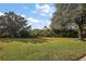 Landscaped side yard with lush grass and mature trees at 5301 Tangelo St, Leesburg, FL 34748