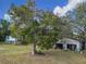 Detached garage with double doors and large tree nearby at 4235 Dove Valley Ln, Lady Lake, FL 32159