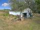 Older detached garage needing some repairs at 4235 Dove Valley Ln, Lady Lake, FL 32159