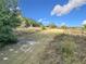 Open field with dirt path and sparse vegetation at 4235 Dove Valley Ln, Lady Lake, FL 32159