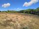 Dry grassy field with distant trees under a blue sky at 4235 Dove Valley Ln, Lady Lake, FL 32159