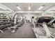 Well-equipped fitness center with various exercise machines and weights at 22250 Draw Bridge Dr, Leesburg, FL 34748