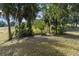 Landscaped area with palm trees and lush greenery at 39320 Harbor Hills Blvd, Lady Lake, FL 32159