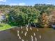 Aerial view of a pond with several white birds in flight at 1310 Moray Ct, Leesburg, FL 34788