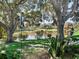 Serene backyard with pond views, lush landscaping, and mature trees at 1310 Moray Ct, Leesburg, FL 34788
