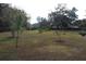 Large grassy yard with a variety of young trees and shrubs at 13234 S Carolina Ave, Astatula, FL 34705