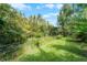 Expansive, grassy backyard enclosed by a chain-link fence with trees and greenery at 240 Citrus Wood Ct, Davenport, FL 33837