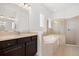 Bathroom with a garden tub, shower, and dark brown vanity at 39539 Harbor Hills Blvd, Lady Lake, FL 32159