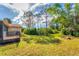 Spacious backyard with lush grass and large trees at 11451 Pala Verda Ave, Leesburg, FL 34788