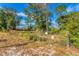 Chain link fence and gate at property entrance at 11451 Pala Verda Ave, Leesburg, FL 34788