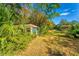 Overgrown outbuilding in the backyard at 11451 Pala Verda Ave, Leesburg, FL 34788