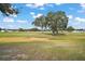 Picturesque golf course view with mature trees and manicured lawns at 1715 Lilly Ln, Lady Lake, FL 32159